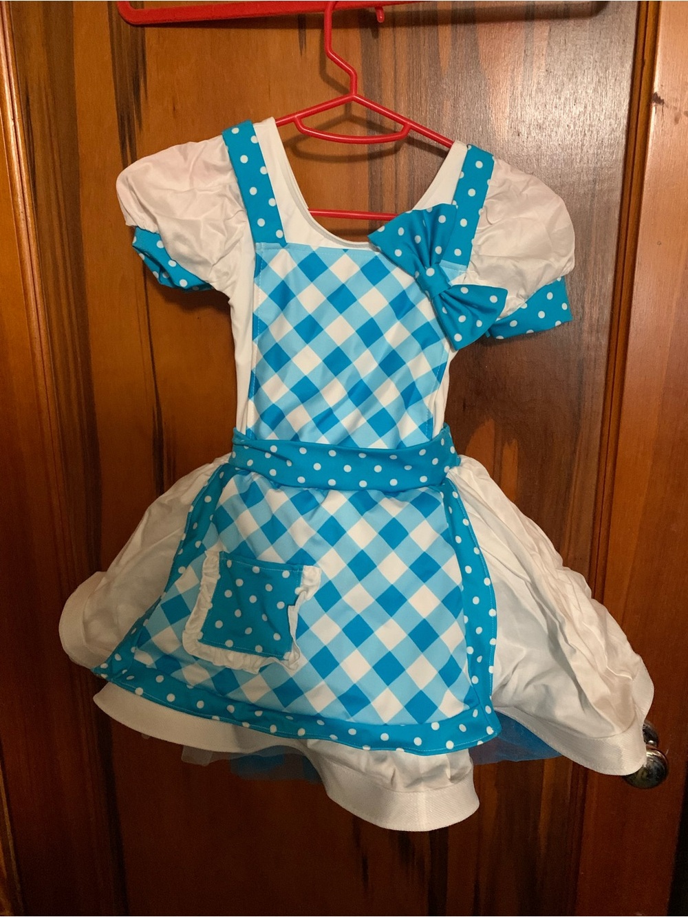 Weissman Blue and White Checkered Apron Dress Costume